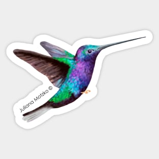 Hummingbird Sticker